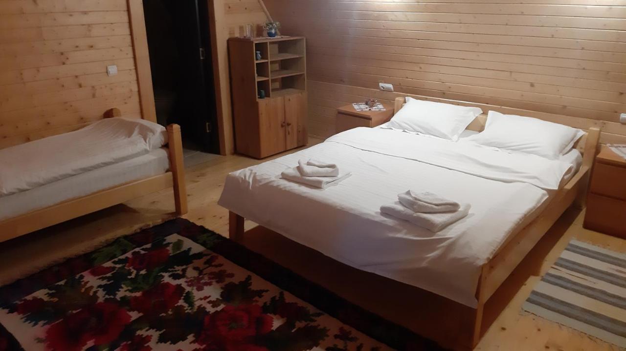 Casa Buga Hotel Viseu de Sus Luaran gambar